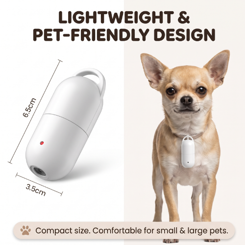 GlowPaw™ – Photo Projection Collar Light