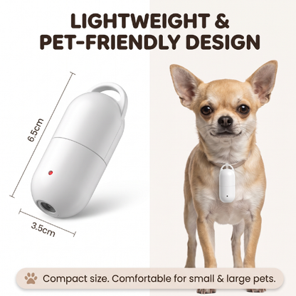 GlowPaw™ – Photo Projection Collar Light