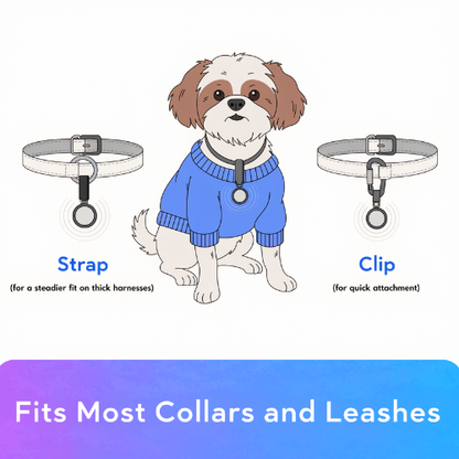 GlowPaw™ – Photo Projection Collar Light