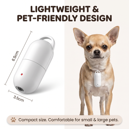 GlowPaw™ – Photo Projection Collar Light