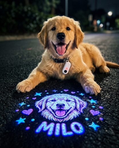 GlowPaw™ – Photo Projection Collar Light